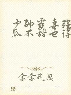 少帅霸妻强扭的瓜不甜也得甜免费阅读