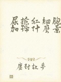 尿检红细胞3个加号什么意思