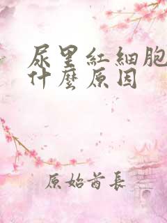 尿里红细胞高是什么原因