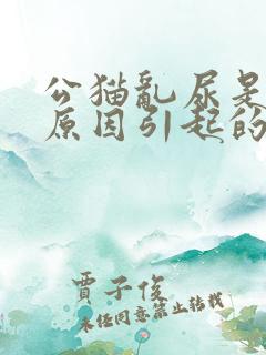 公猫乱尿是什么原因引起的