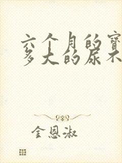 六个月的宝宝用多大的尿不湿