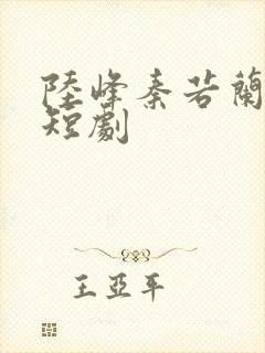 陆峰秦若兰穿越短剧