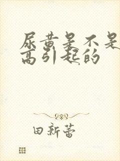 尿黄是不是尿酸高引起的