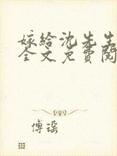 嫁给沈先生小说全文免费阅读