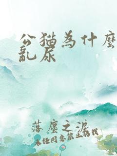 公猫为什么突然乱尿