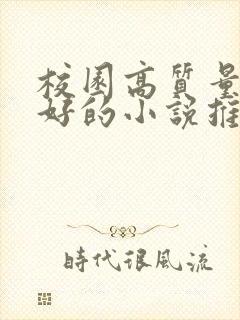 校园高质量文笔好的小说推荐