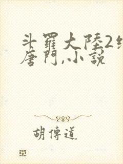 斗罗大陆2绝世唐门,小说