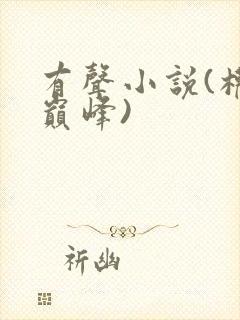 有声小说(权力巅峰)