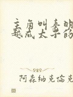 主角叫秦明的穿越成太子的小说