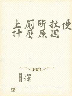 上厕所拉便血是什么原因