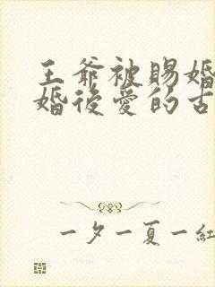 王爷被赐婚的先婚后爱的古言小说