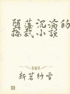 堕落沉沦的冷艳总裁小说