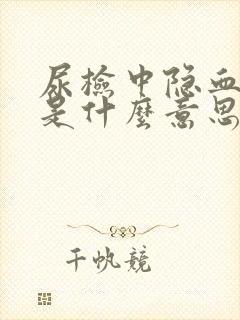 尿检中隐血+2是什么意思