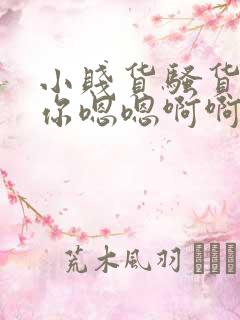 小贱货骚货操死你嗯嗯啊啊