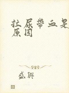 拉尿带血是什么原因