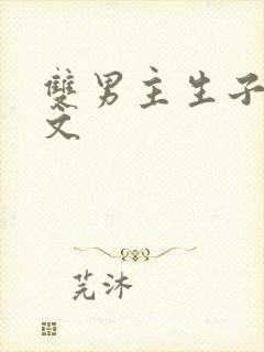 双男主生子完结文