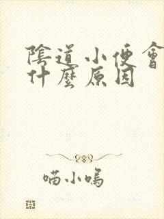 阴道小便会痛是什么原因