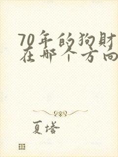 70年的狗财运在哪个方向