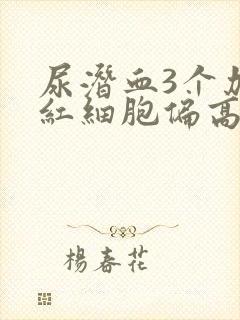 尿潜血3个加号红细胞偏高