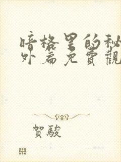 暗格里的秘密番外篇免费观看