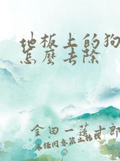 地板上的狗尿味怎么去除