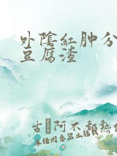 外阴红肿分泌物豆腐渣