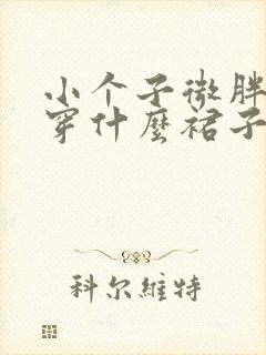 小个子微胖女生穿什么裙子好看