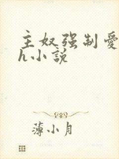 主奴强制爱双性h小说