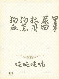 狗狗拉尿里面有血怎么回事
