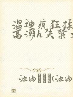 温迪疯狂揉肉蒂高潮h失禁文