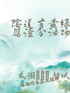 阴道有黄绿色豆腐渣分泌物