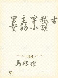 男主穿越古代入赘的小说