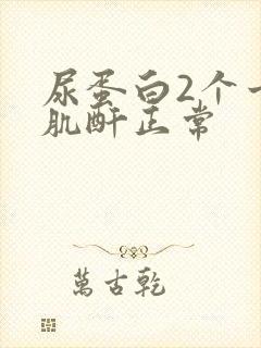 尿蛋白2个十但肌酐正常