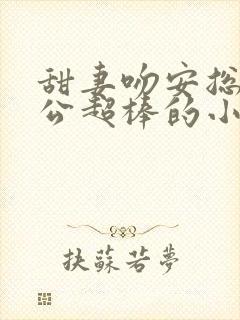 甜妻吻安总裁老公超棒的小说