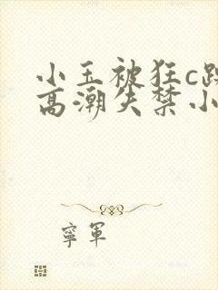 小玉被狂c躁到高潮失禁小说