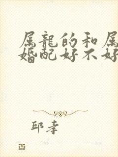 属龙的和属猴的婚配好不好