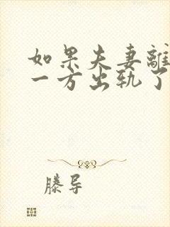 如果夫妻离婚有一方出轨了该怎么处理