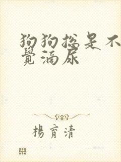 狗狗总是不知不觉滴尿