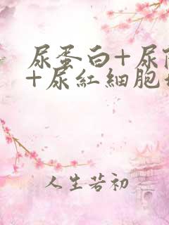 尿蛋白+尿隐血+尿红细胞增多