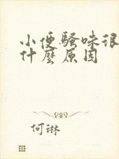 小便骚味很重是什么原因