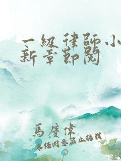 一级律师小说最新章节阅