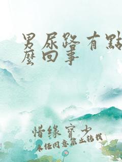 男尿路有点疼怎么回事