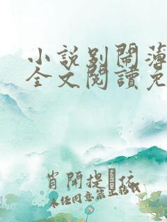 小说别闹薄先生全文阅读免费