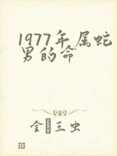 1977年属蛇男的命