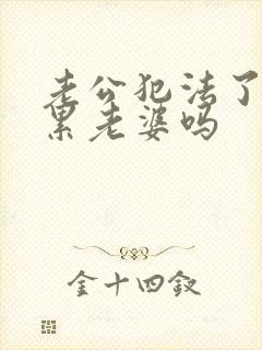 老公犯法了会连累老婆吗