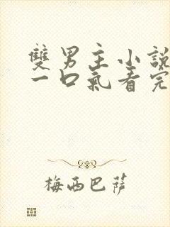 双男主小说完结一口气看完