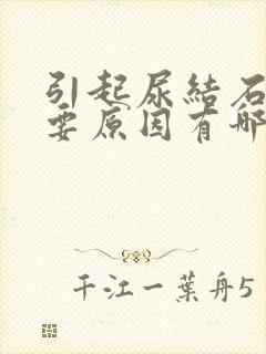 引起尿结石的主要原因有哪些?