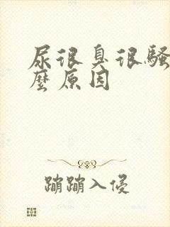 尿很臭很骚是什么原因