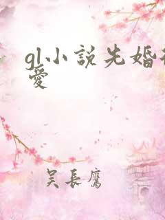 gl小说先婚后爱