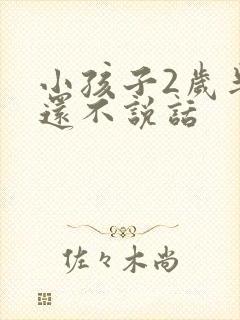 小孩子2岁半了还不说话